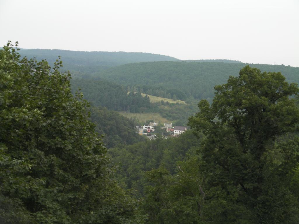 Guest House Wanda Walbrzych Bagian luar foto